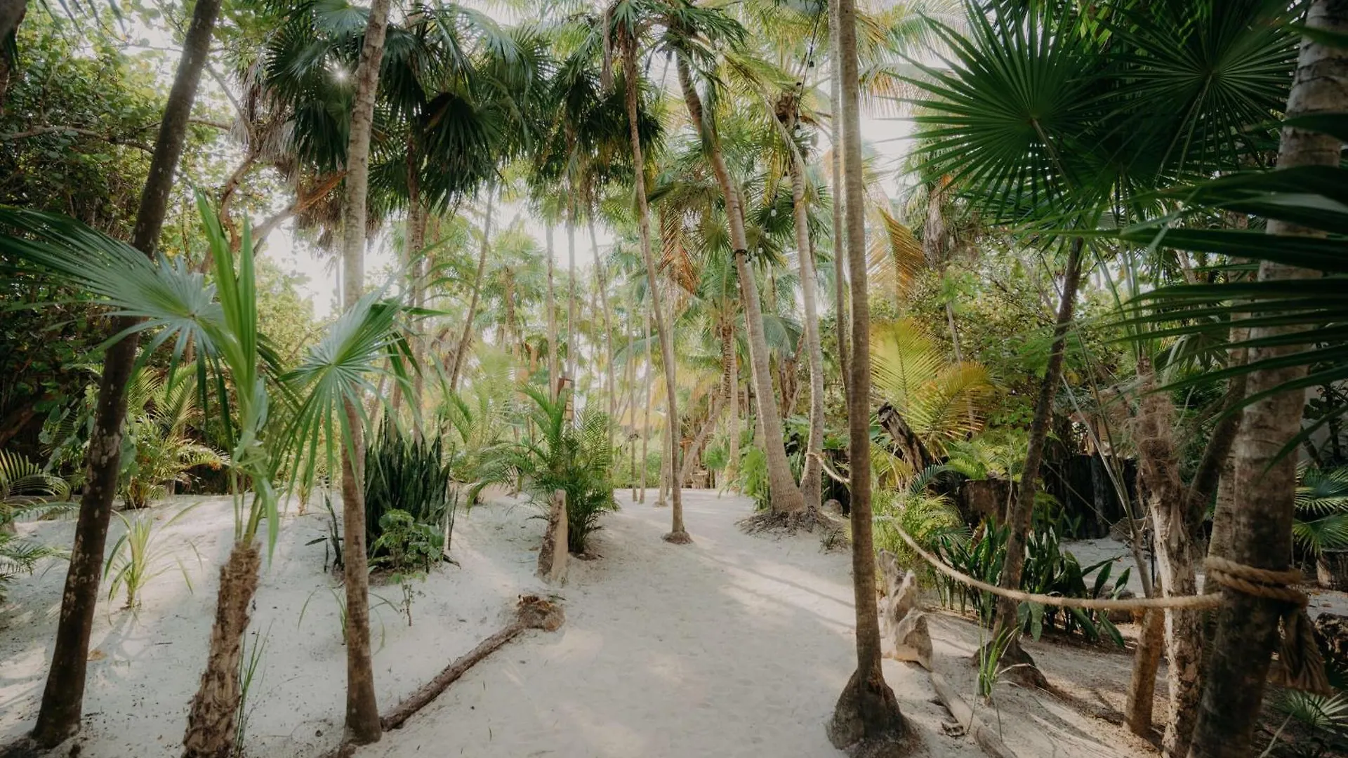 Apartmán Luxury Penthouse With Private Pool In Aldea Zama Tulum